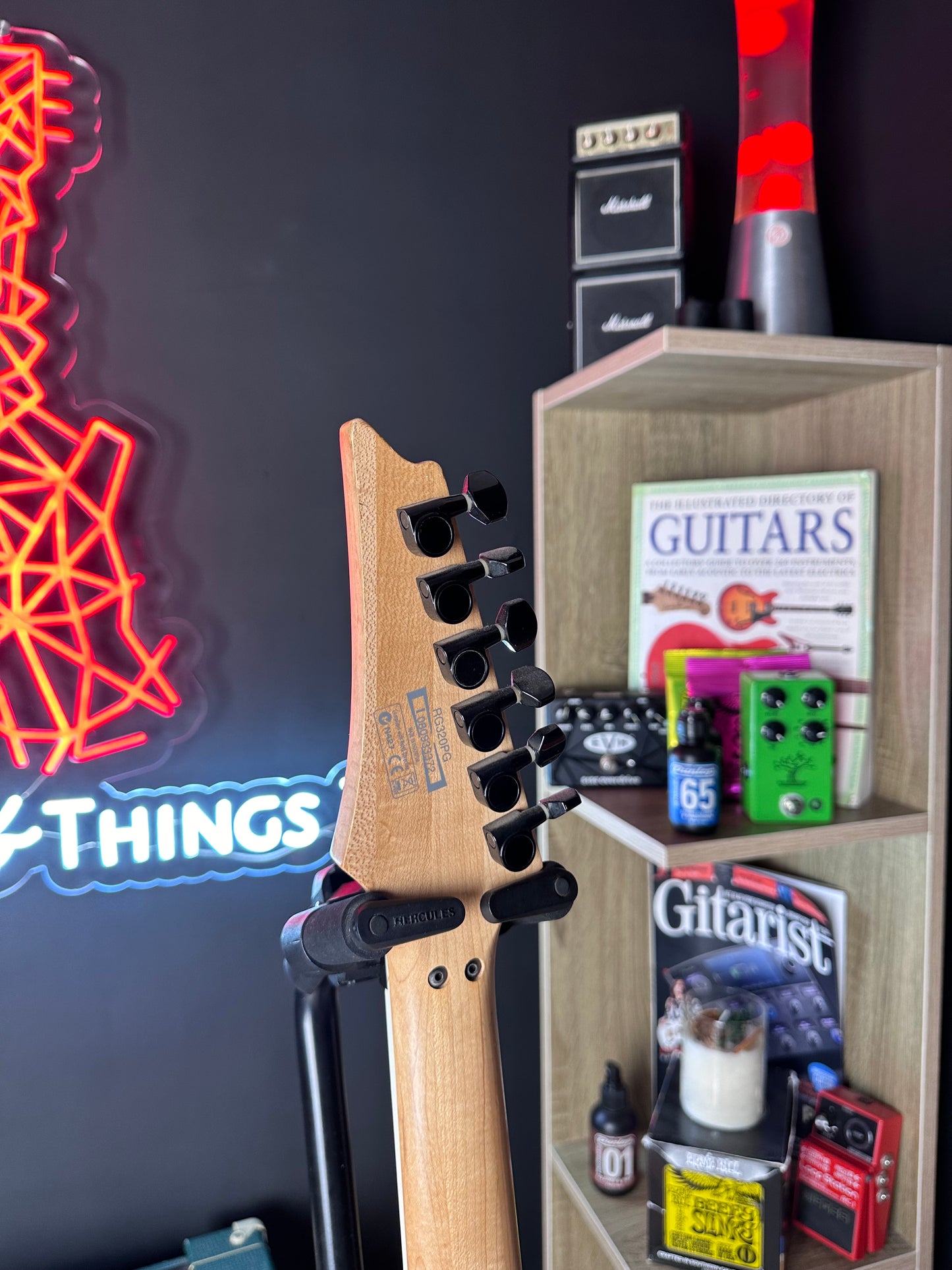Ibanez RG320PG "Warning signs" Electric Guitar