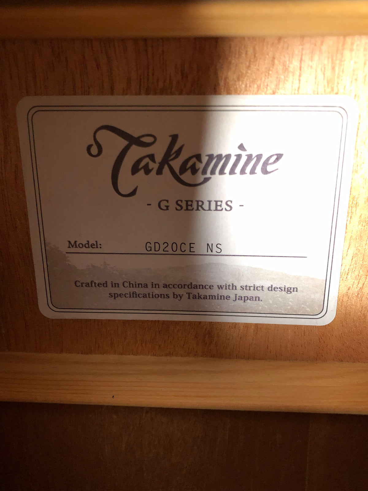 Takamine GD20CE-NS Electro-Acoustic Guitar + Hardcase