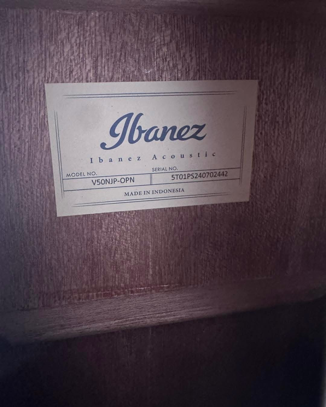 Ibanez V50NJP-OPN Acoustic Guitar Pack