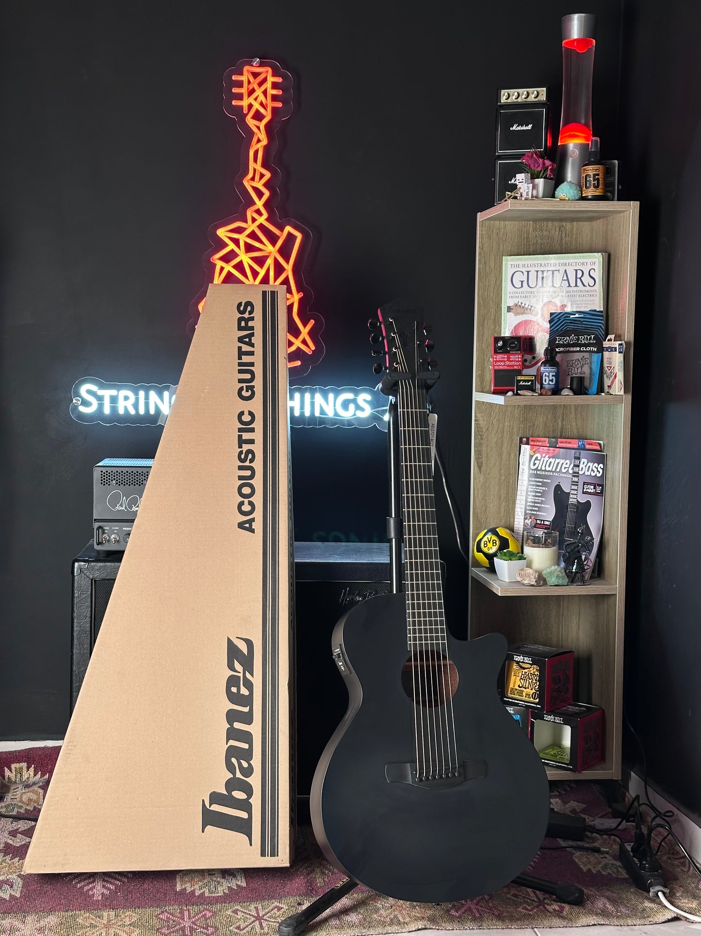 * Brand New * Ibanez AEG721-BOT 7 String Acoustic/Electric Guitar