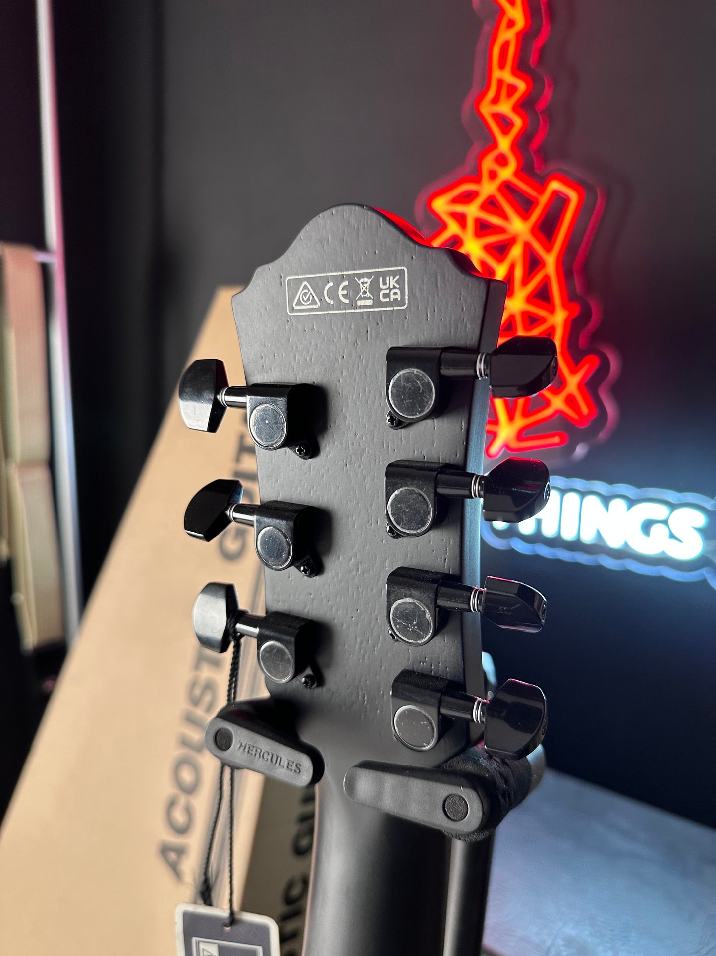 * Brand New * Ibanez AEG721-BOT 7 String Acoustic/Electric Guitar