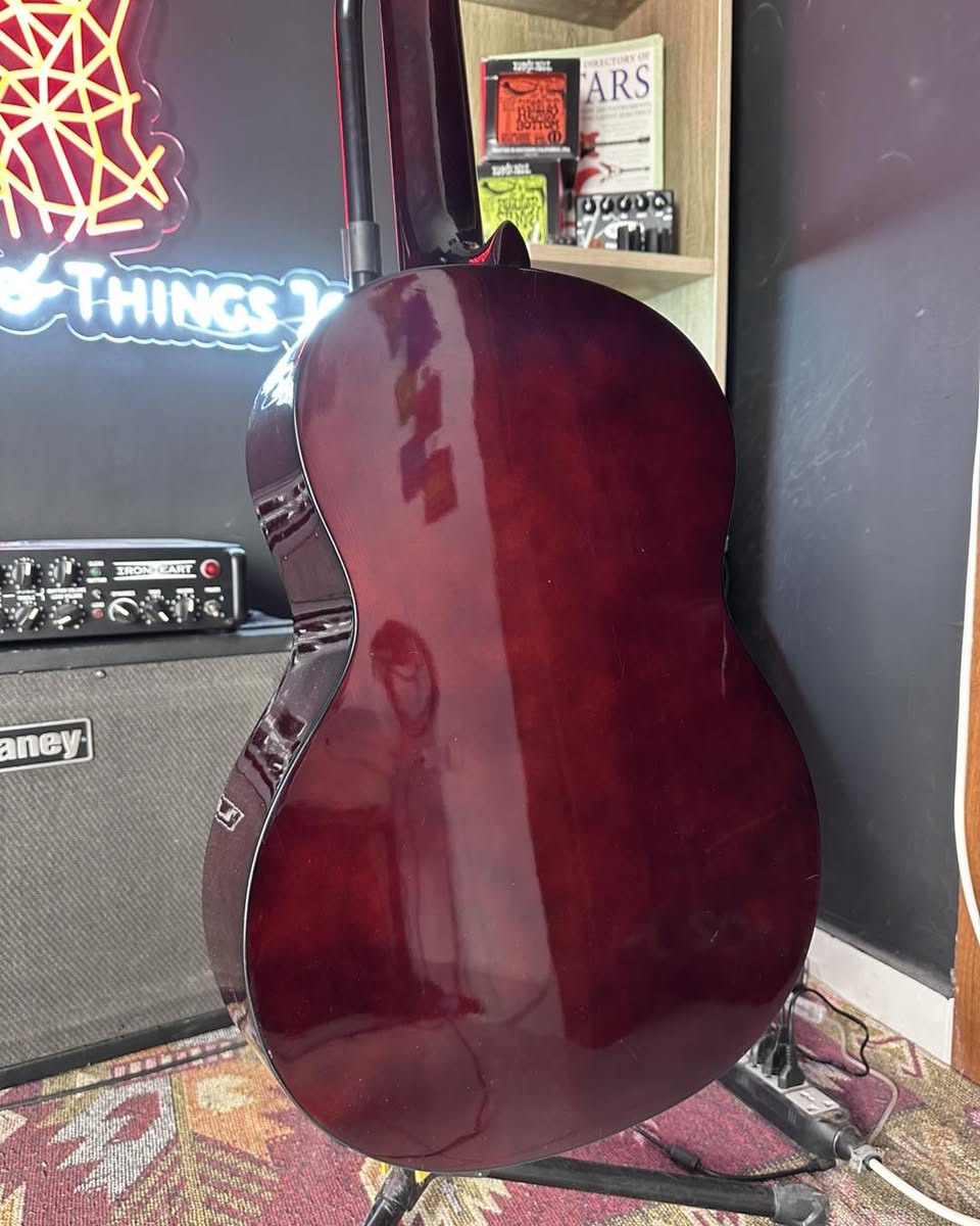 Eko Spiraling Flame Classical Guitar Eko Spiraling Flame Classical Guitar