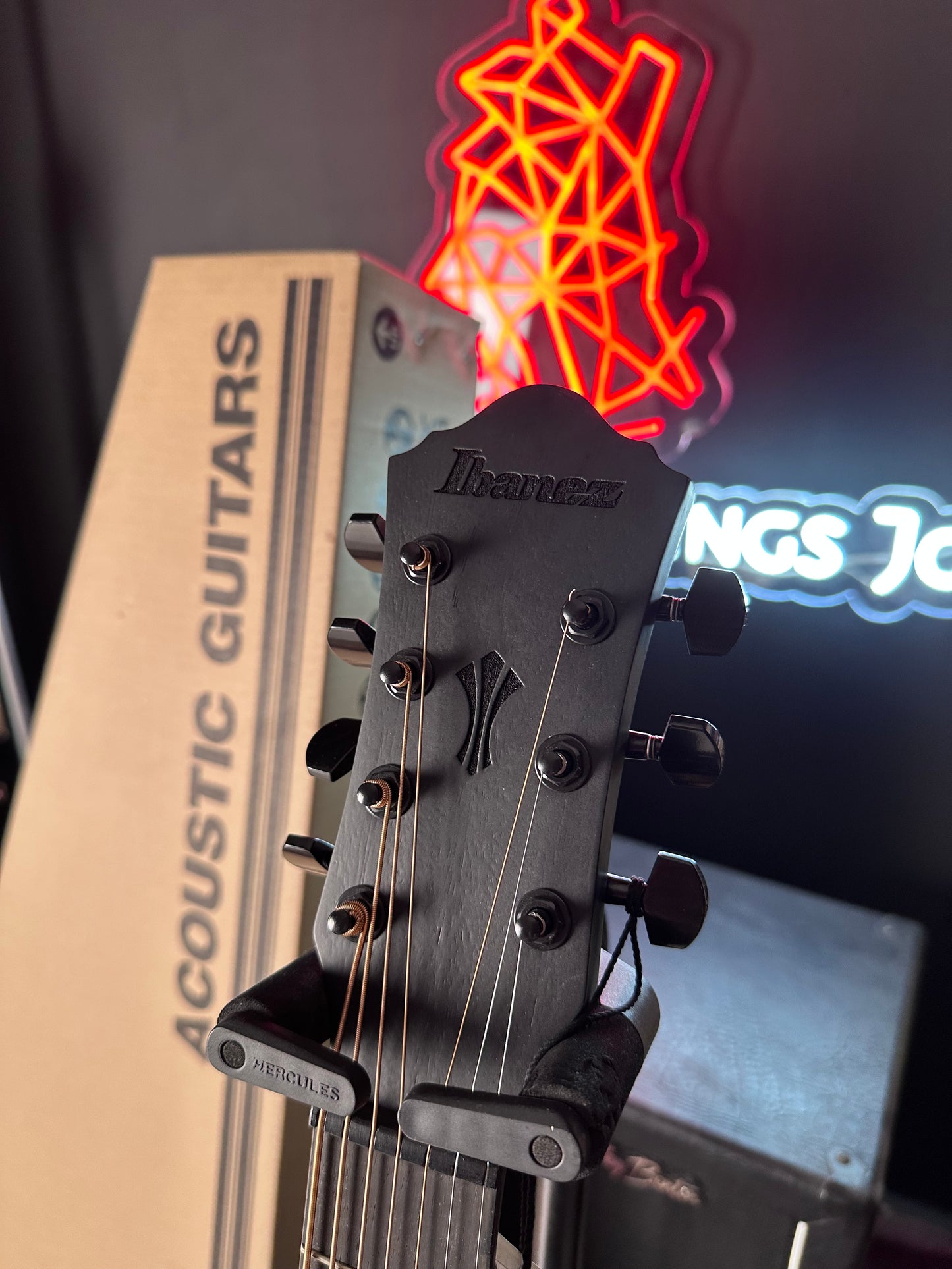 * Brand New * Ibanez AEG721-BOT 7 String Acoustic/Electric Guitar