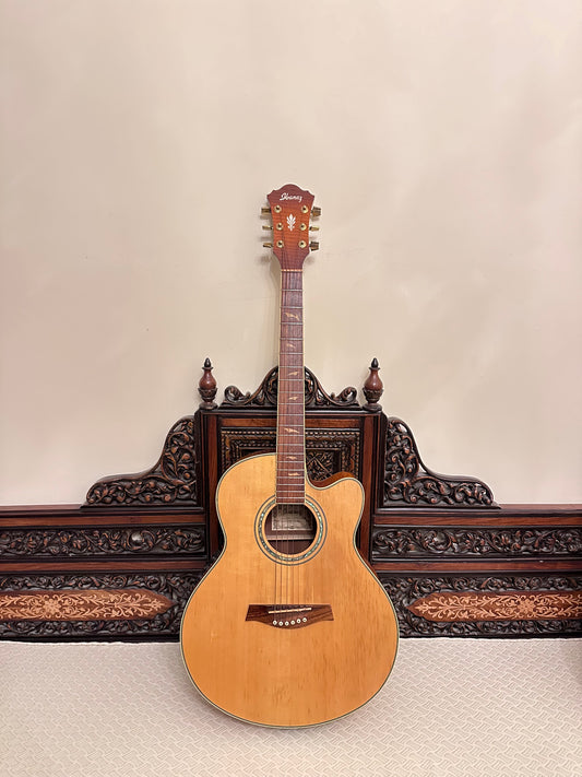 Ibanez AEL40SE-RLV1202 Acoustic/Electric Guitar