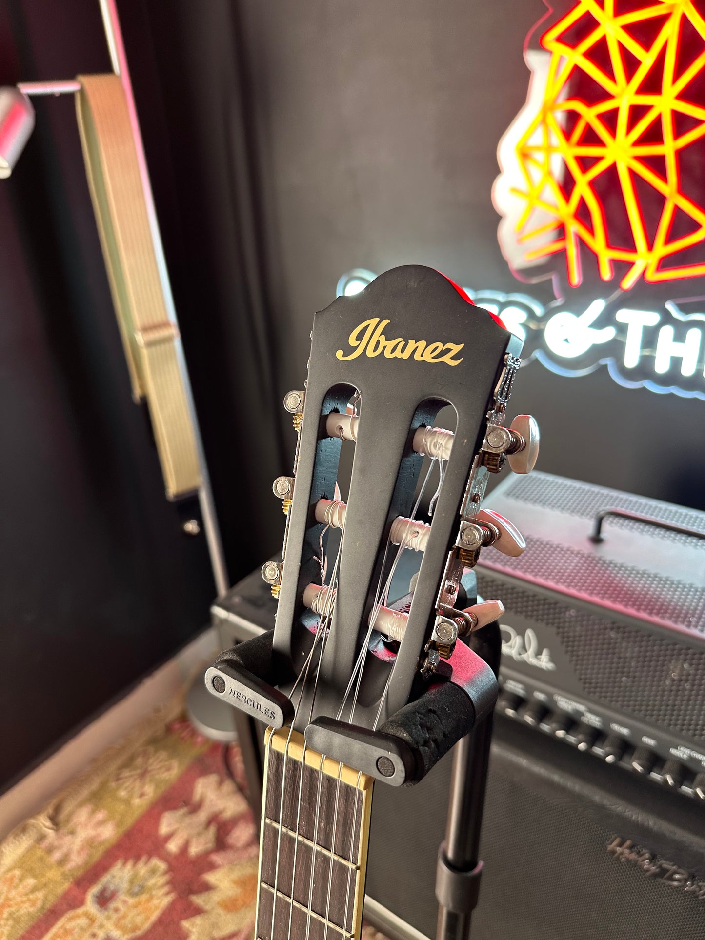 Ibanez AEG5TNE-BKF Electro-Classical