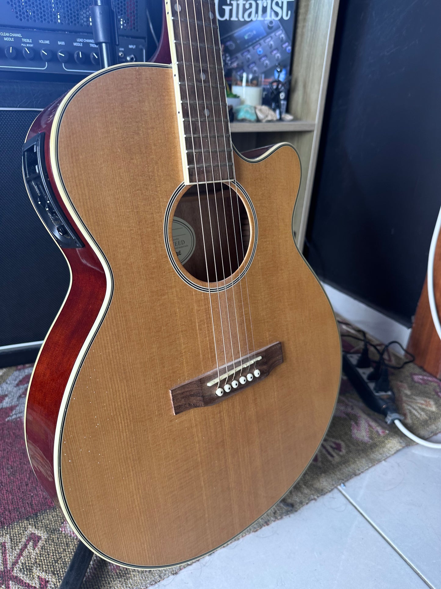 Epiphone PR-4E Acoustic-Electric Guitar